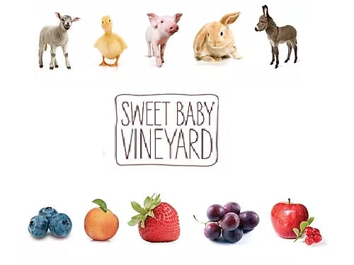 Sweet Baby Vineyard - Hampstead, NH