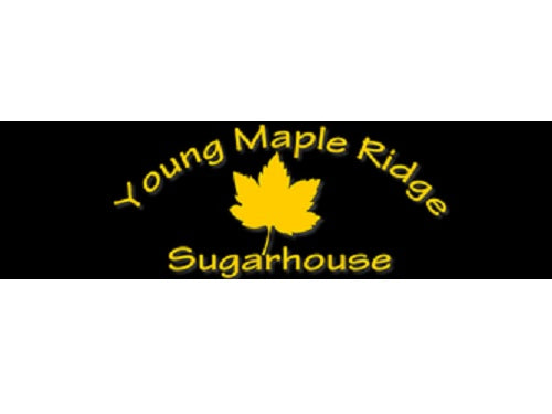 Young Maple Ridge Sugar House - North Sandwich NH