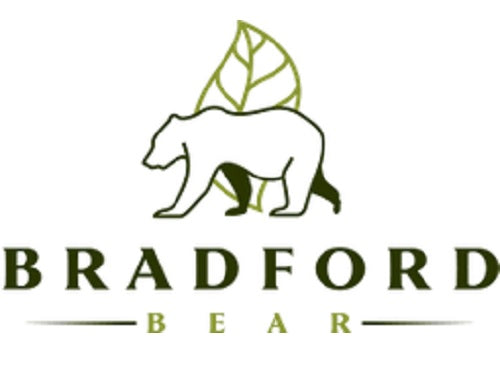 Bradford Bear - Bradford NH