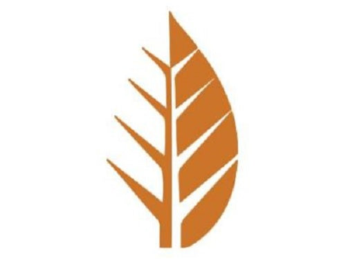 Deciduous Brewing - Newmarket NH