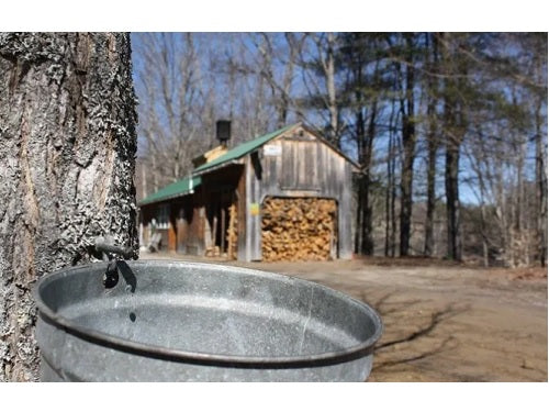 Hunt's Sugar House